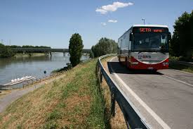 bus