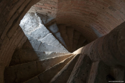 cattedrale_piacenza008-2